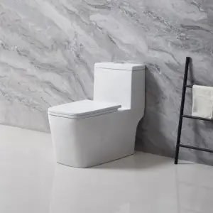 8195 Single Piece Toilet 300mm