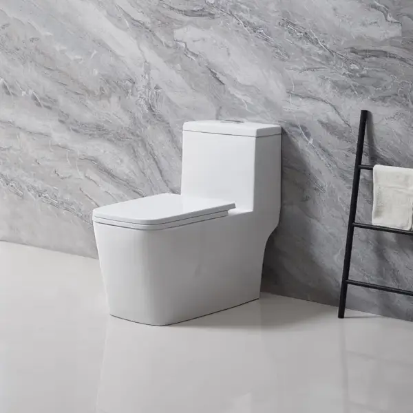 8195 Single Piece Toilet 300mm